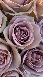 Wholesale Roses In 2021 Wholesale Roses Rose Flower Arrangements