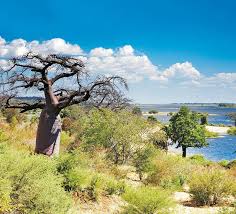 Botswana is topographically flat, with up to 70 p. Bostwana Reisetipps Informationen Berge Meer