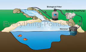 Protein skimmer diy dengan desain baru yang dibuat oleh om rahmazani dan om junaidi la ulidi. Choosing A Pond Skimmer Everything Ponds Com