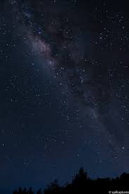 Dan tentu saja tidak berbau amis sama sekali. Sabah Stargazers Sstargazers Twitter