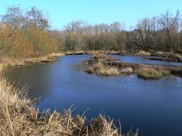 Maybe you would like to learn more about one of these? Billy Frank Jr Nisqually National Wildlife Refuge Wikipedia