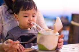 Buah kelapa membutuhkan 12 bulan untuk matang seutuhnya. Amankah Memberikan Air Kelapa Kepada Anak Alodokter