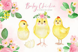 We did not find results for: Baby Chicken Watercolor Clipart For Nursery Art Baby Shower Farm By Labfcreations Thehungryjpeg Com