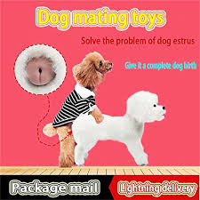 Hund Schlaf Estrus Spielzeug Haustier Rüden Sexspielzeug Hunde  Schlafpartner Vent Toys Estrus Male Dog Sex Vent Plüsch Pudel,13cm   5.1inch : Amazon.de: Haustier