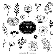 Hand drawn floral designs vector and photoshop brushes packs. Free Vector Collection Of Hand Drawn Flowers