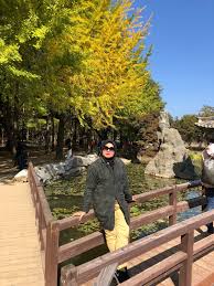 Pakej korea 2020 musim bunga 5 hari 4 malam. Musim Luruh Di Seoul Buat Anda Tidak Boleh Lupa Pengalaman Disana Bkh Travel
