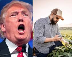 Liz Cheney/Adam Kinzinger Against Trump