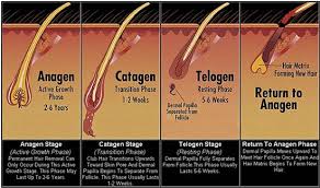 The entire growth cycle differs between the areas of the body that are being sugared/waxed. Pin On Natural Hair And Black Skin