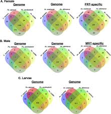 Multi Level Analysis Of Reproduction In The Antarctic Midge Belgica Antarctica Identifies Female And Male Accessory Gland Products That Are Altered By Larval Stress And Impact Progeny Viability Biorxiv