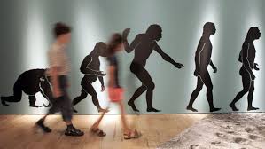 Er ist nicht mehr so, wie er früher war. Fossilienfunde In Marokko Homo Sapiens Womoglich Schon 300 000 Jahre Alt Archiv