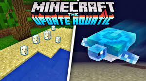 Everything you need to know to protect them, hatch them and 31 minecraft things that don't make any sense. How To Hatch Turtle Eggs In Minecraft New Turtle Mob In Mcpe 1 3 The Aquatic Update Youtube