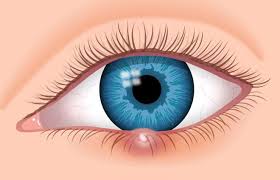Triskaidekaphobia is the term for the fear of which number? What Is The Medical Term For A Stye Trivia Questions Quizzclub