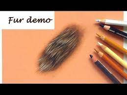4 How To Draw Fur With Pastel Pencils Drawing Tutorial Leontine Van Vliet Youtube How To Draw Fur Pastel Pencils Color Pencil Drawing