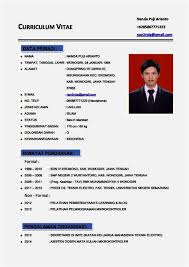 contoh format resume lengkap
