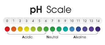 The Chart Shows The Acidic Neutral And Alkaline Ph Of