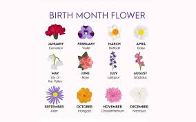 12 Korean Birth Flower For Each Month With Meanings To Know About Anyone In 2021 Birth Flowers Birth Flower Tattoos Birth Month Flowers