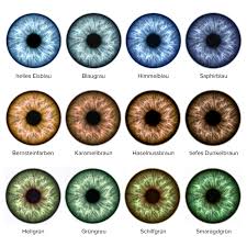 The Meaning And Secret Of Eye Colors Joyeux Noel20 Eye Color Eye Drawing Color