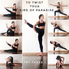 Bird Of Paradise Yoga Pose Modifications 