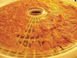 Dehydrating Eggs At Home Backwoods Home Magazine