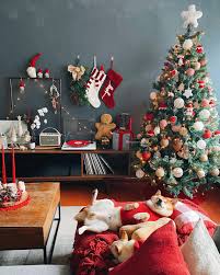 In germany children decorate this type of house as a part of their celebration. Finished The Christmas Decor And Our Dogos Are Pretty Happy About It Mexico City Mexico Amateurroomporn