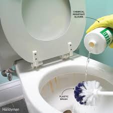 10 Cleaning Tips For Your Whole House Cleaning Hacks Toilet Cleaning Cleaning