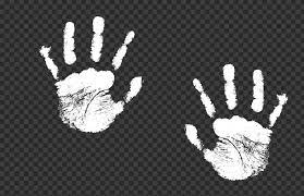 Hd White Two Realistic Hand Print Png Print Realistic Png