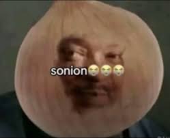 Sonion Meme | TikTok
