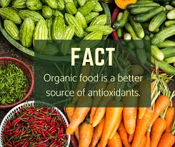 Richmond Hill Naturopath Organic Food Functional Medicine Four Seasons Naturopathic Wellness Dr Rahim Habib Naturopathic Doctor