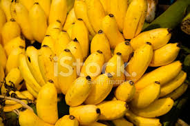 Résultat de recherche d'images pour "DES TAS DE BANANES"