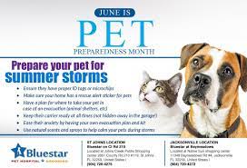 Pittsburgh Craigslist Pets