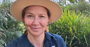 Buffel grass: Ally or threat to Queensland beef?