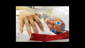 At this point, the heart and the blood vessels are still developing, while the liver, lungs and stomach have begun to form. Babies Learn To Recognize Words In The Womb Science Aaas