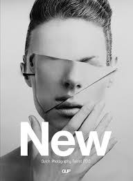 Bert Schipper (prodeoweb)