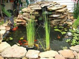 21 Small Garden Backyard Aquariums Ideas That Will Beautify Your Green World Indoor Water Garden Outdoor Fish Ponds Small Gardens