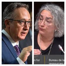 Comeback kid: Tory Jansen returns to the House after B.C. byelection win