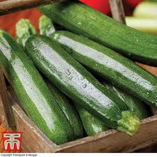 Maybe you would like to learn more about one of these? Courgette All Green Bush Seeds Thompson Morgan