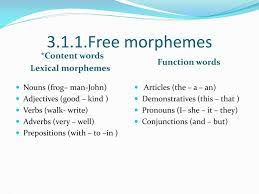 They may be lexical morphemes (such as {clude} as in include, exclude, preclude) or Ppt Types Of Morphemes Powerpoint Presentation Free Download Id 2318430