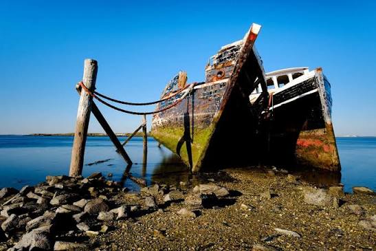 Greenpoint Shipwreck Graveyard — Trev Hill | Dunedin Photographer