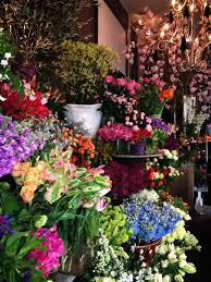 Pin By Rocio Vela On Crop Fruits Flowers Beautiful Flowers Flower Shop Most Beautiful Flowers