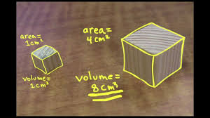 Find out about the difference between square and cube numbers with this bitesize primary ks2 maths guide. Small Is Mighty The Square Cube Law Youtube