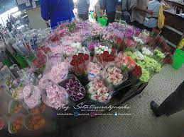 Sila tinggalkan komen di bawah ataupun sms saya 019 444 2241. Fresh Flower Murah Murah Blog Sihatimerahjambu