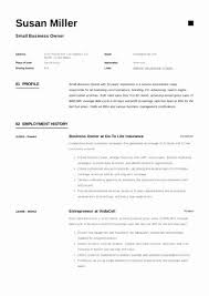 Small Business Owner Resume Elegant Small Business Owner Resume Guide 12 Examples Pdf In 2020 Small Business Owner Resume Guide Retail Resume Examples