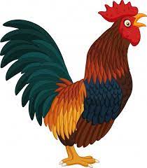 Synonyms for galo in free thesaurus. Galo De Desenhos Animados Cantando No Fundo Branco Cartoon Rooster Rooster Animal Stencil