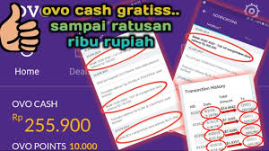 Check spelling or type a new query. Cara Mendapatkan Saldo Ovo Cash Gratis Youtube