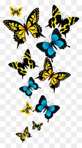 We did not find results for: Beautiful Butterfly In Group Transparent Background Png Format Butterfly Png Background Free Transparent Png Clipart Images Download