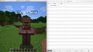 For minecraft on the pc, a gamefaqs message board topic titled how. Visualise Your Users As Minecraft Villagers Loris