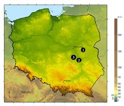 Search for church and filter by rating, features, and reviews for poland, kozienice area. Localization Of Study Plots 1 Minsk Maz 2 Kozienice 3 Dobieszyn 1 Download Scientific Diagram