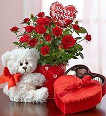Bundle Of Love Rose Plant 1800flowers Com 101466 Presentes Especiais Presentes Criativos Presentes