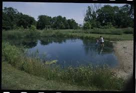 Installation of pond heaters can be easy or difficult depending on your level of expertise and the model. Lawn Maintenance Around Ponds Successful Farming