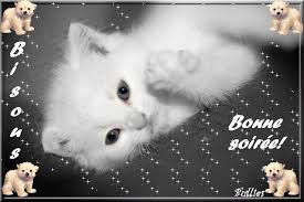 RÃ©sultat de recherche d'images pour "gif bonne soirÃ©e bisous"